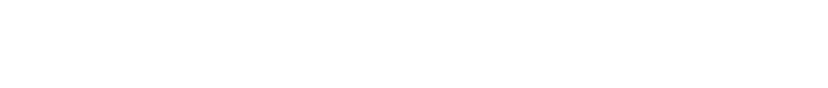 History Of Guns